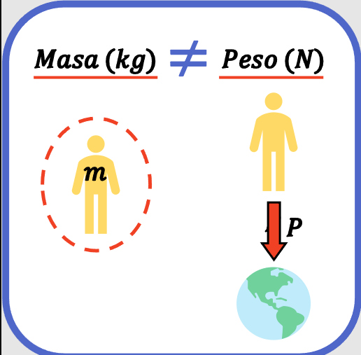 Masa y peso